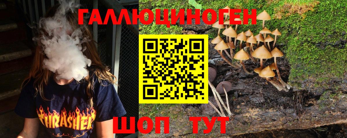 Железноводск  Псилоцибиновые грибы прущие грибы  Псилоцибиновые грибы Psilocybe  Вход с VPN 